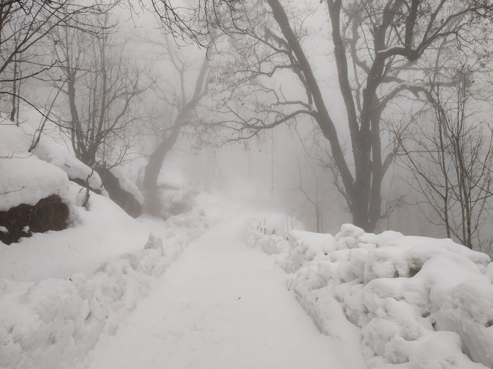 Photo of Chopta, Uttarakhand, India by Pahadi_hu _bawa