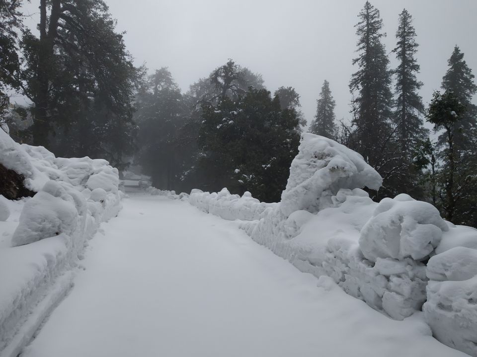 Photo of Chopta, Uttarakhand, India by Pahadi_hu _bawa