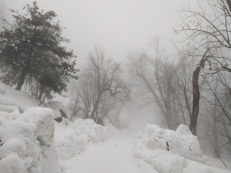 Photo of Chopta, Uttarakhand, India by Pahadi_hu _bawa