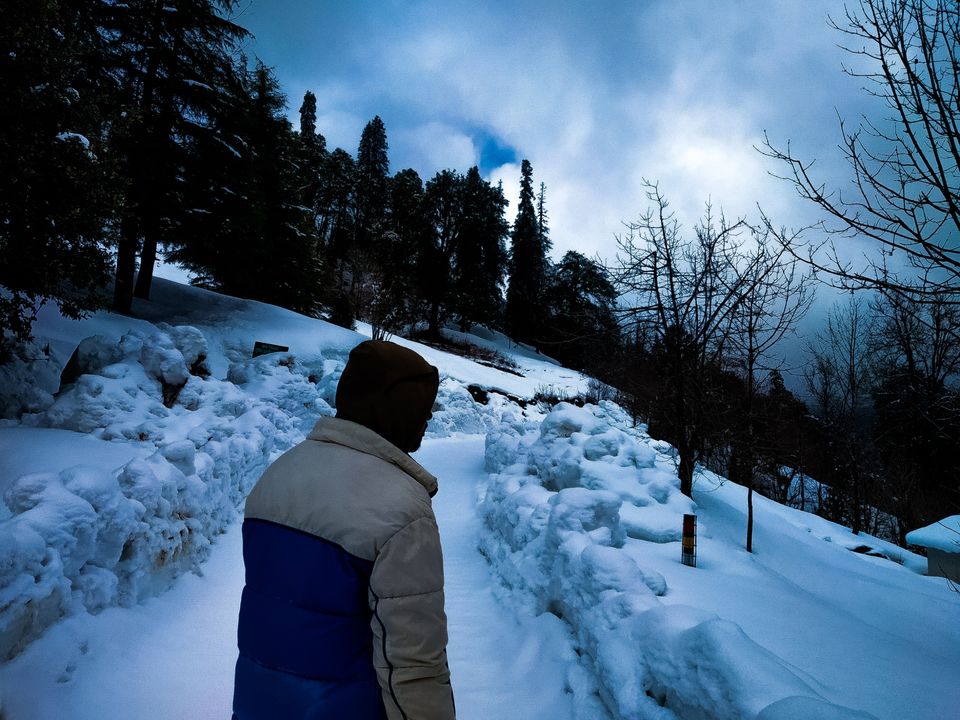 Photo of Chopta, Uttarakhand, India by Pahadi_hu _bawa