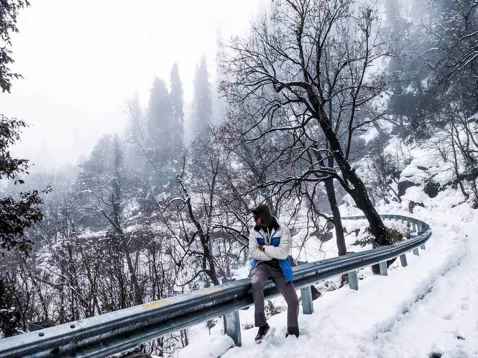Photo of Chopta, Uttarakhand, India by Pahadi_hu _bawa