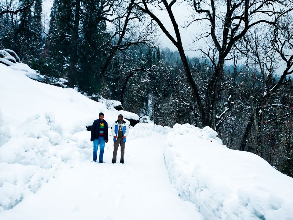 Photo of Chopta, Uttarakhand, India by Pahadi_hu _bawa