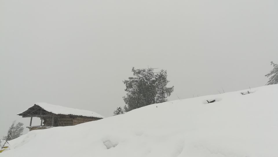 Photo of Kedarkantha Trek, Uttarakhand 13/18 by Ganesh Balasubramanian