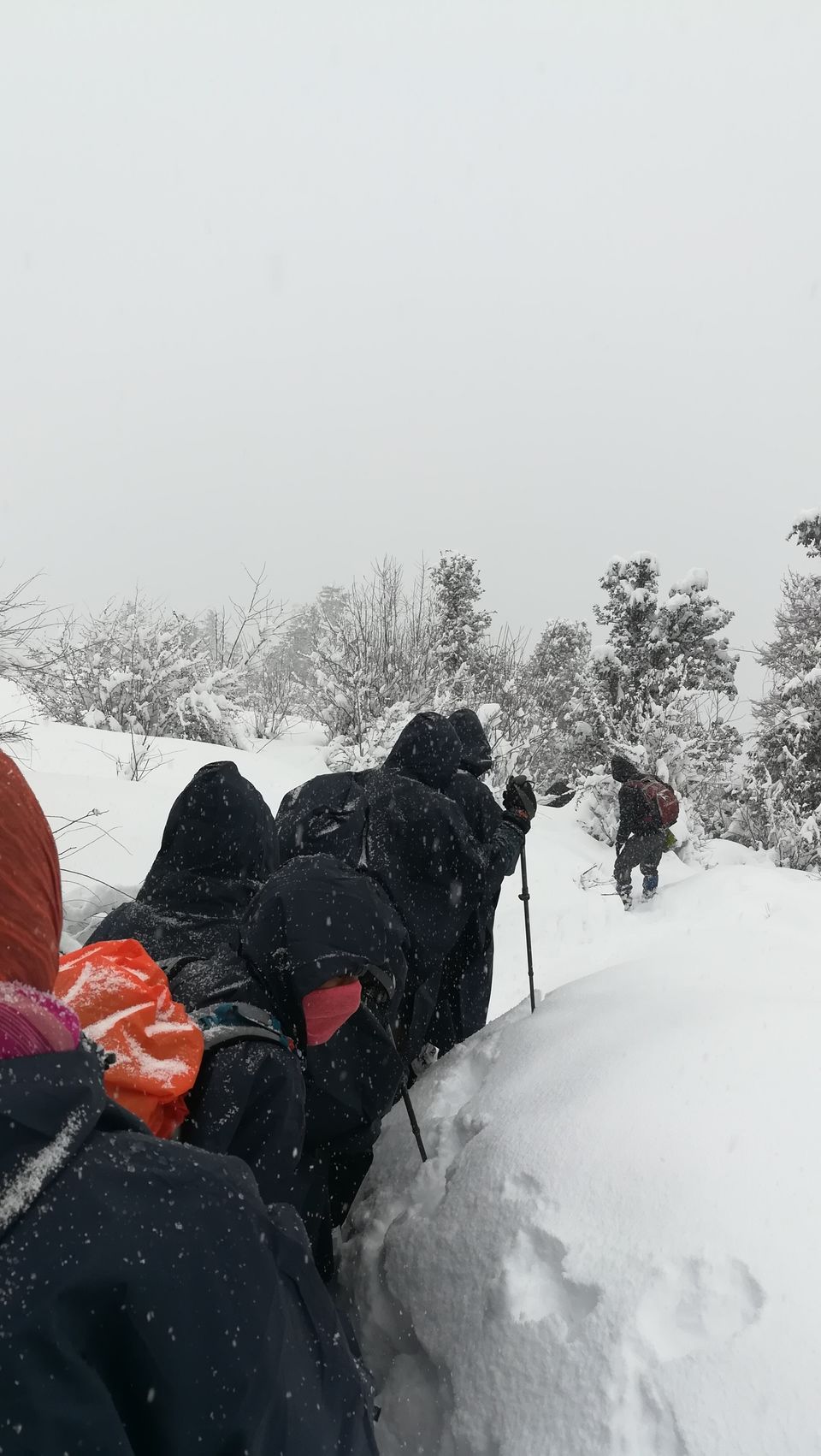 Photo of Kedarkantha Trek, Uttarakhand 16/18 by Ganesh Balasubramanian