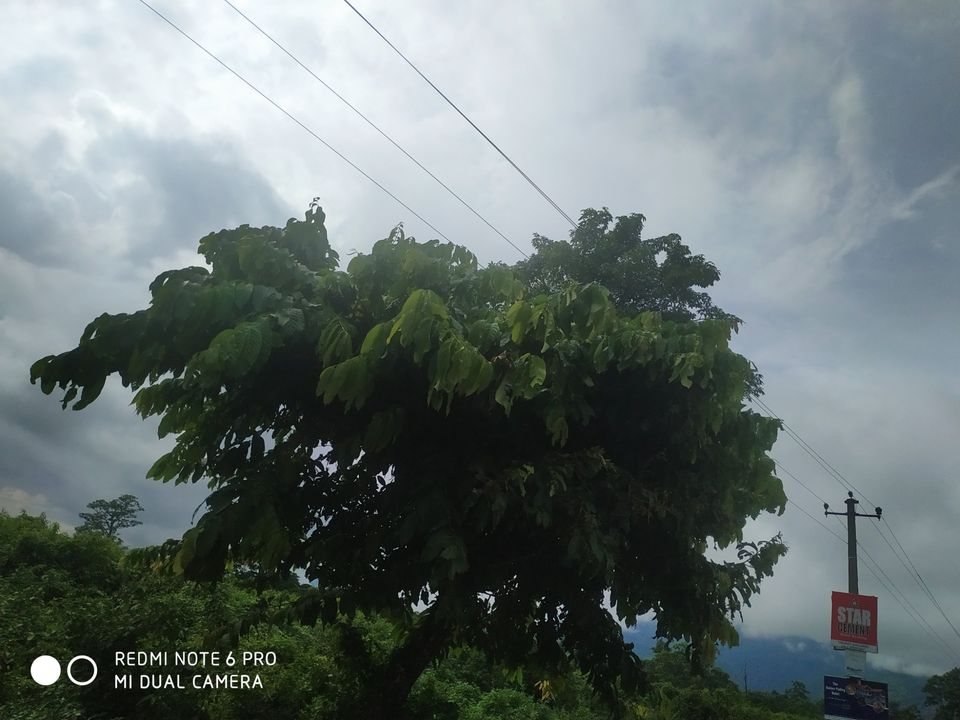Photo of Eastern Himalayas Tour by Kranti Kumar