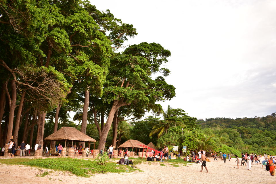 Photo of Havelock Island, Andaman and Nicobar Islands by Srabana Maitra