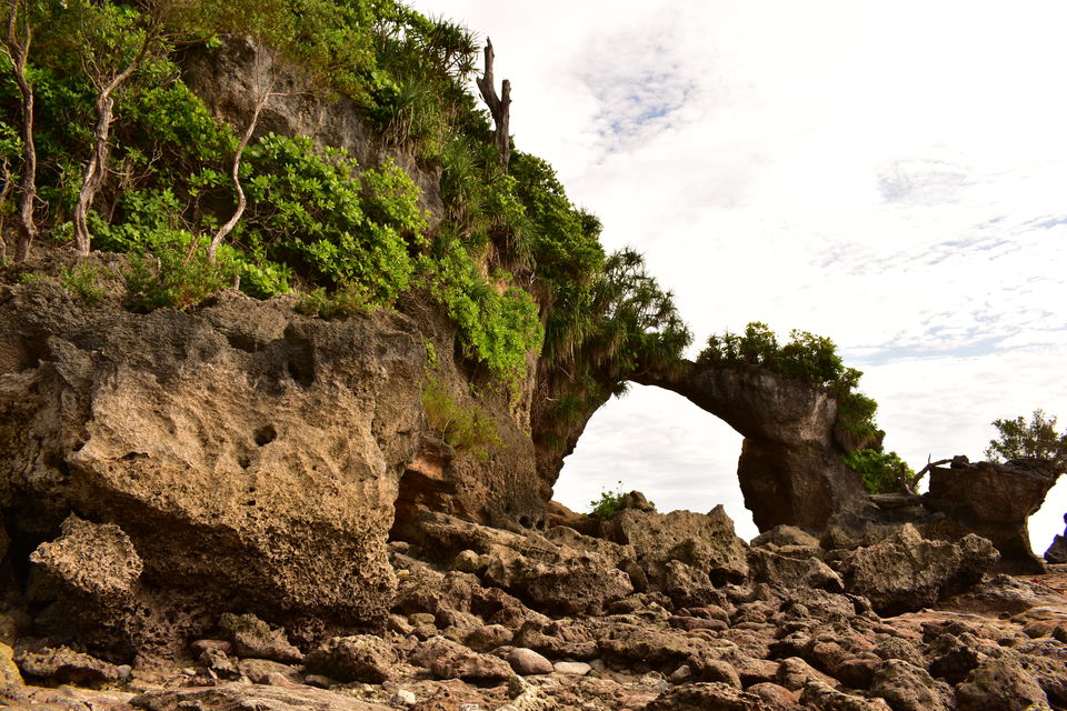 Photo of Neil Island, Andaman and Nicobar Islands by Srabana Maitra