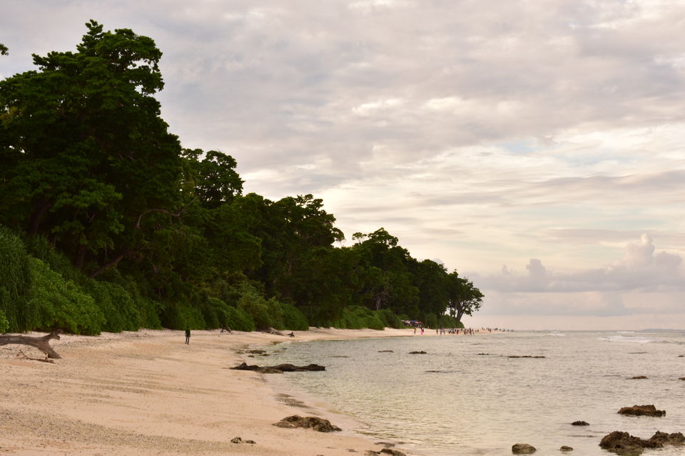 Photo of Neil Island, Andaman and Nicobar Islands by Srabana Maitra