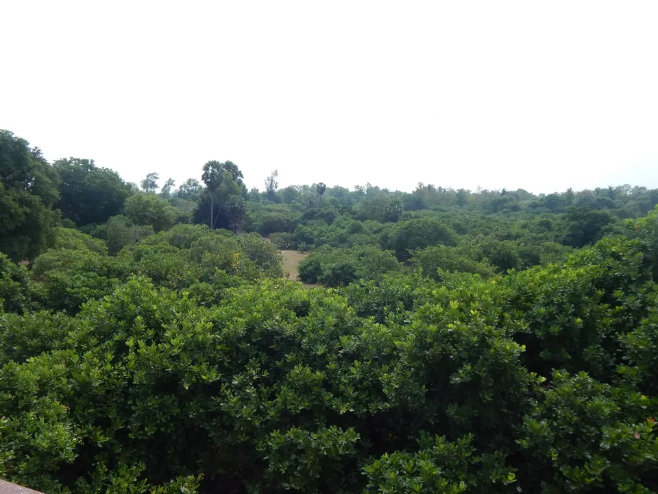 Photo of Purple Resorts, Bommayapalayam, Tamil Nadu, India by Sachin Mishra