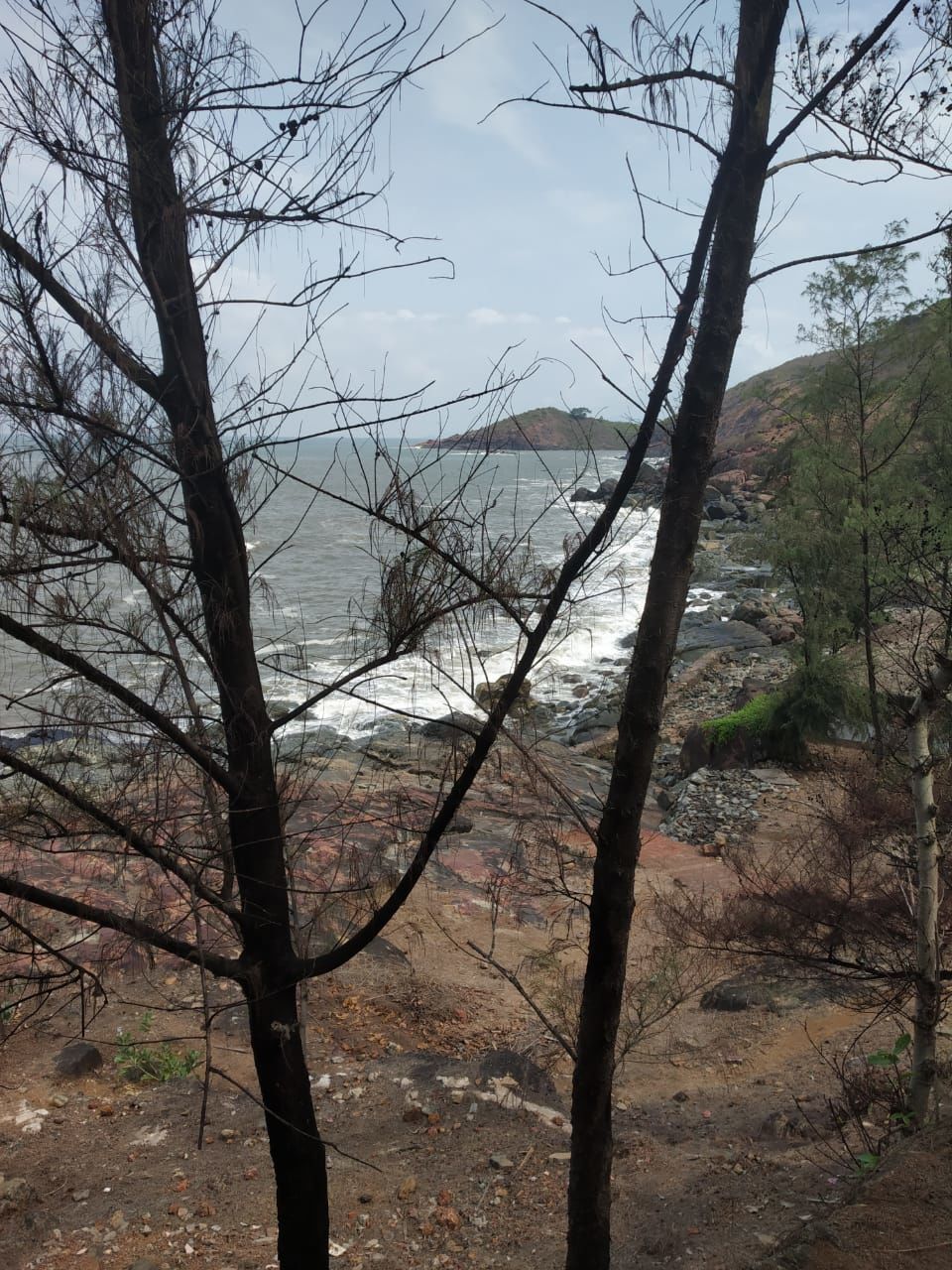 Photo of Bangalore – Hassan – Sakhleshpur – Varangal – Udupi – Maravanthe – Murdeshwar –Gokarna ( Bike Trip ) by Sachin Mishra