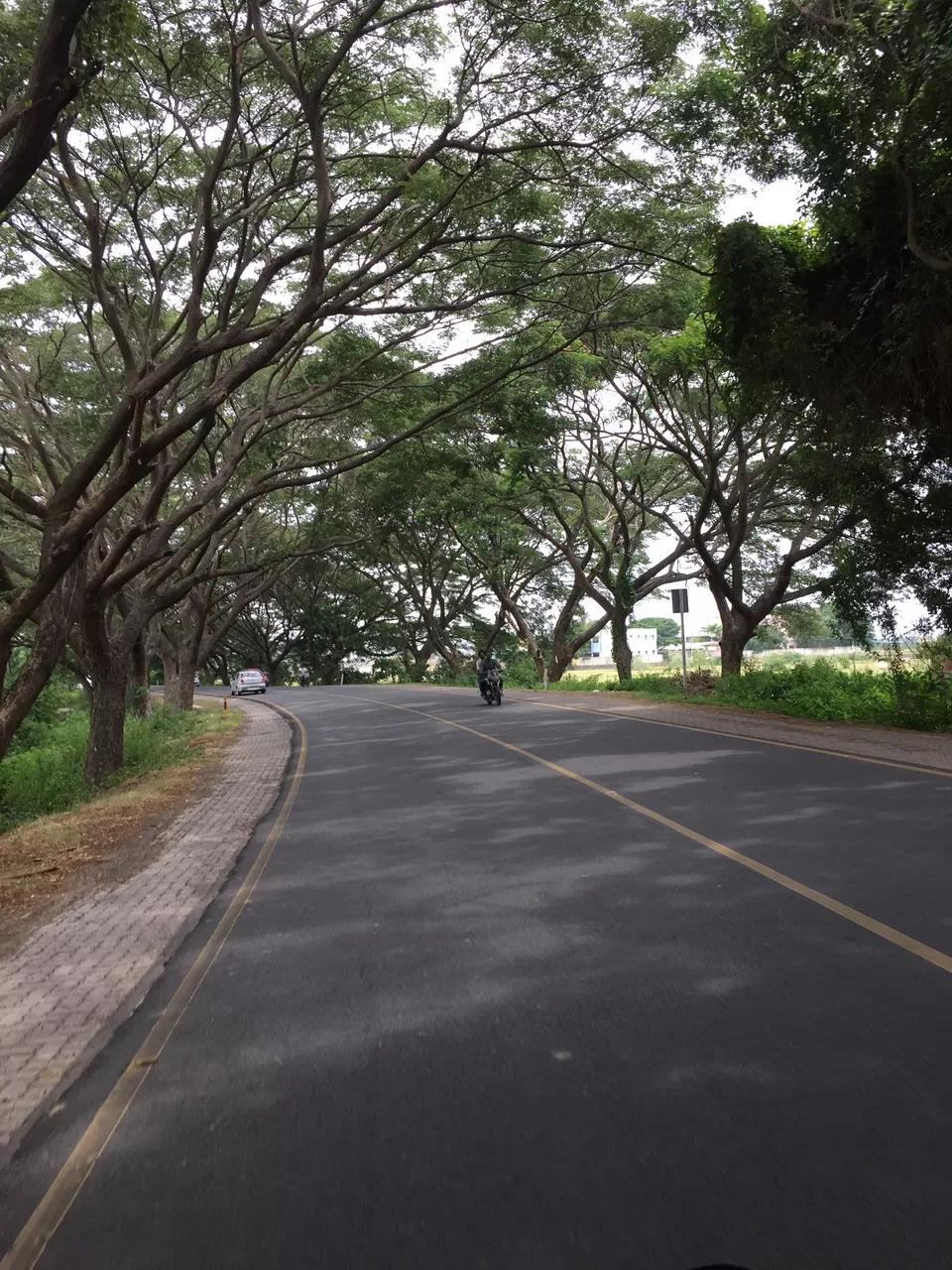 Photo of Shivanasamudra, Karnataka by Sachin Mishra