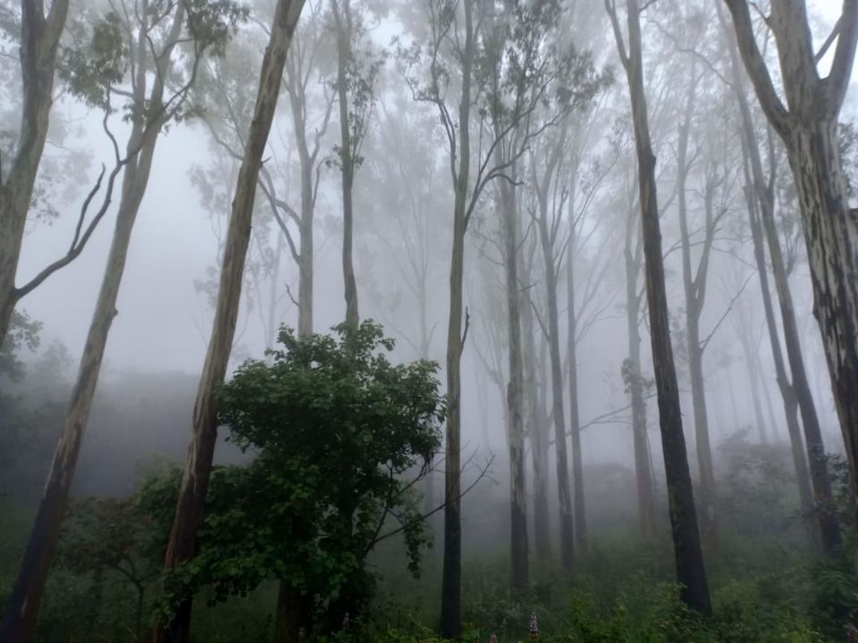 Photo of Nandi hills - Lepakshi- chickballapur-anantpur- Bangalore ( BikeTrip ) by Sachin Mishra