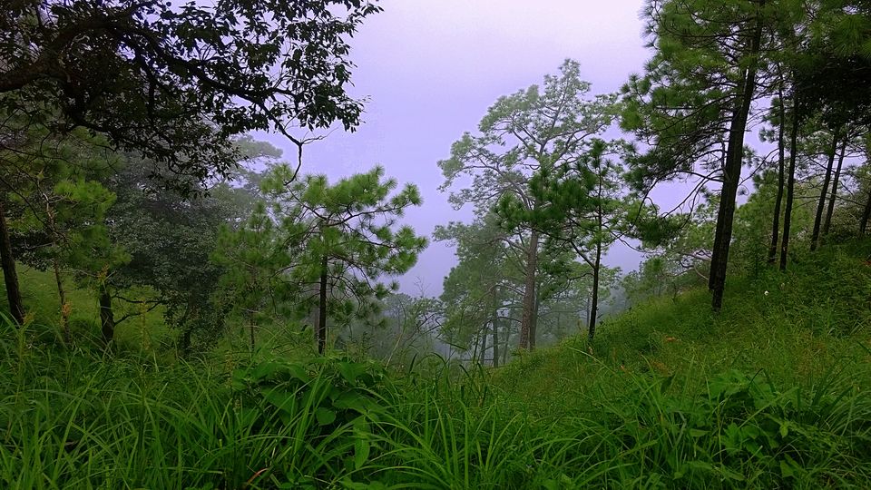 Photo of Delhi to Kasauli + Shimla 10/27 by Faizi Ahmad