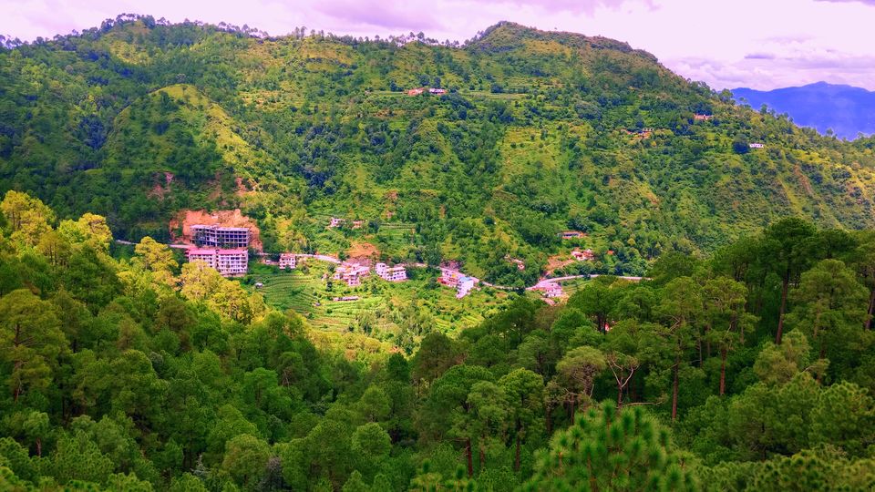 Photo of Delhi to Kasauli + Shimla 16/27 by Faizi Ahmad