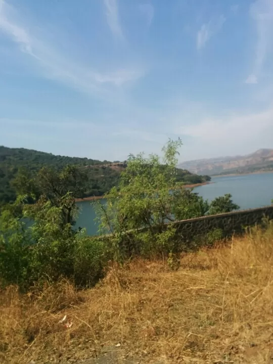 Photo of Diveagar Beach, Raigad, Maharashtra, India by Apoorva Mehta