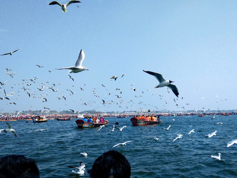 Photo of Going With Ganga by Aditya Sharma