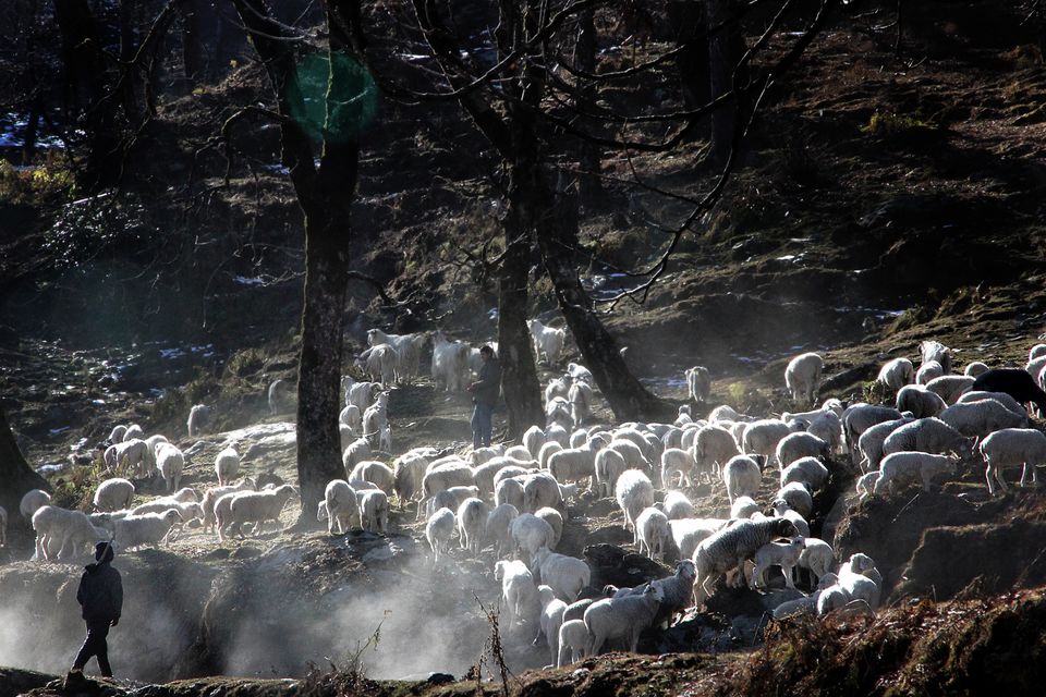 Photo of A story of Kumayun Himalayas by Joydeep Bhattacharyya