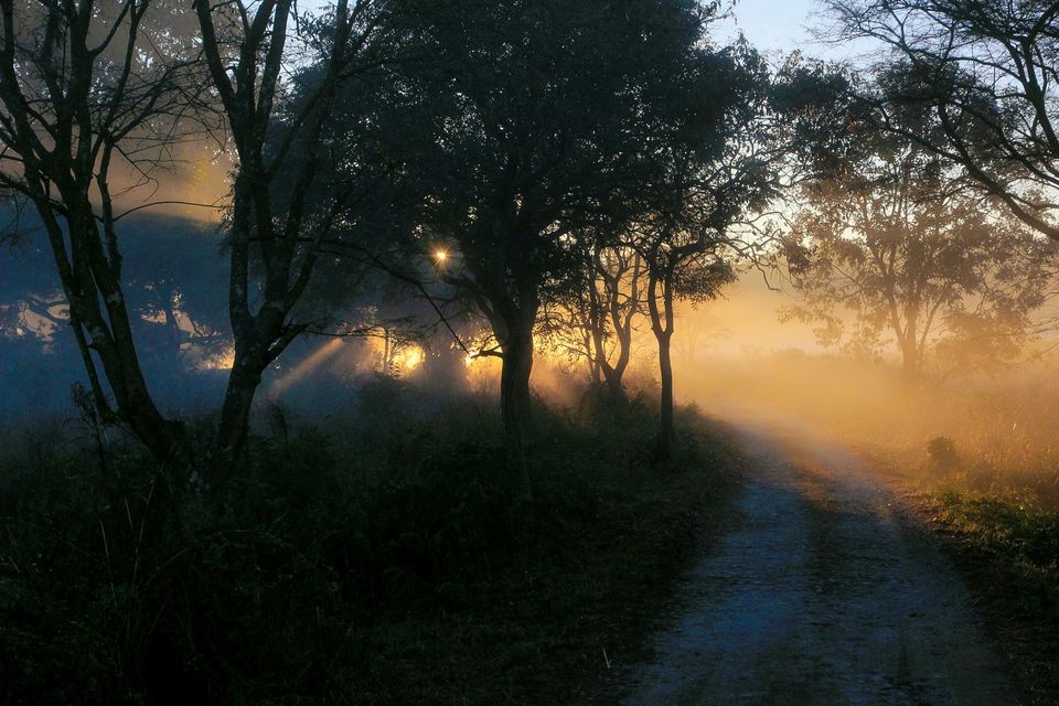 Photo of A story of Kumayun Himalayas by Joydeep Bhattacharyya