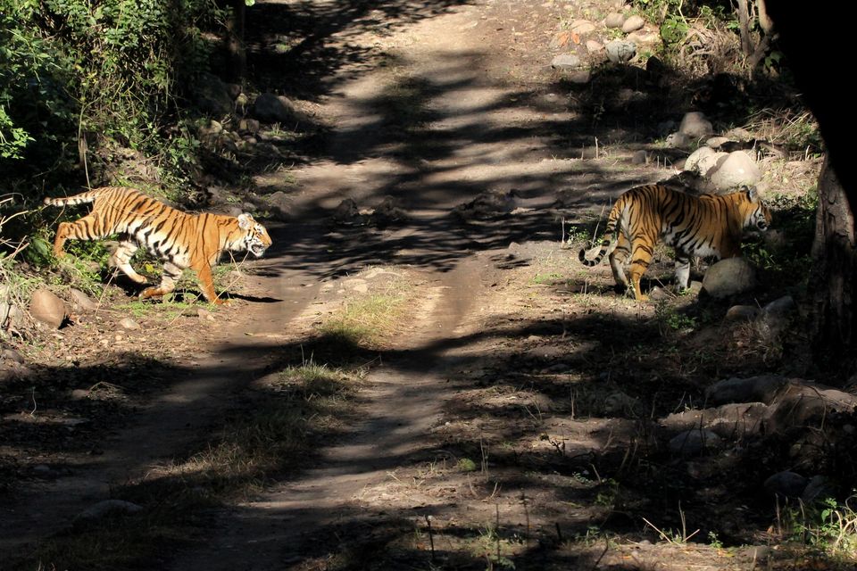 Photo of A story of Kumayun Himalayas by Joydeep Bhattacharyya