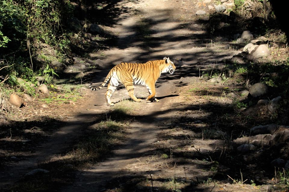 Photo of A story of Kumayun Himalayas by Joydeep Bhattacharyya