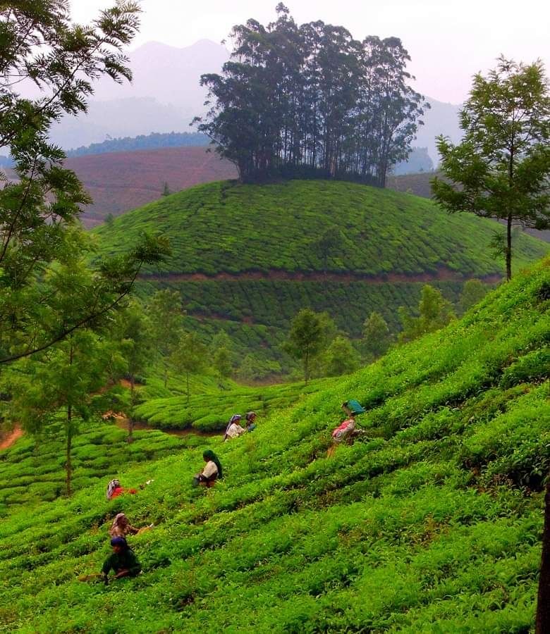 Photo of Kolakham Diaries #offbeatgetaway by Joydeep Bhattacharyya