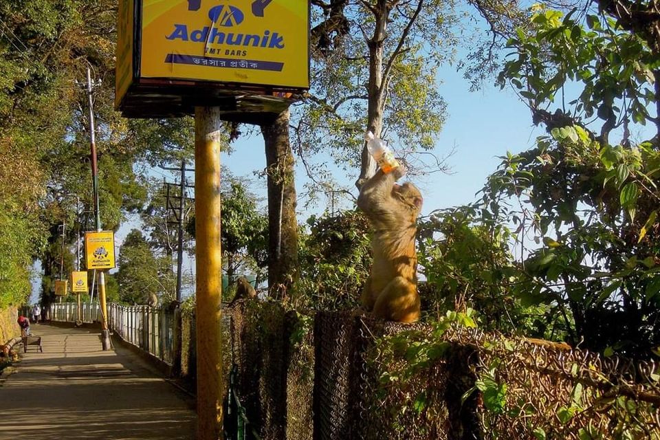 Photo of Kolakham Diaries #offbeatgetaway by Joydeep Bhattacharyya