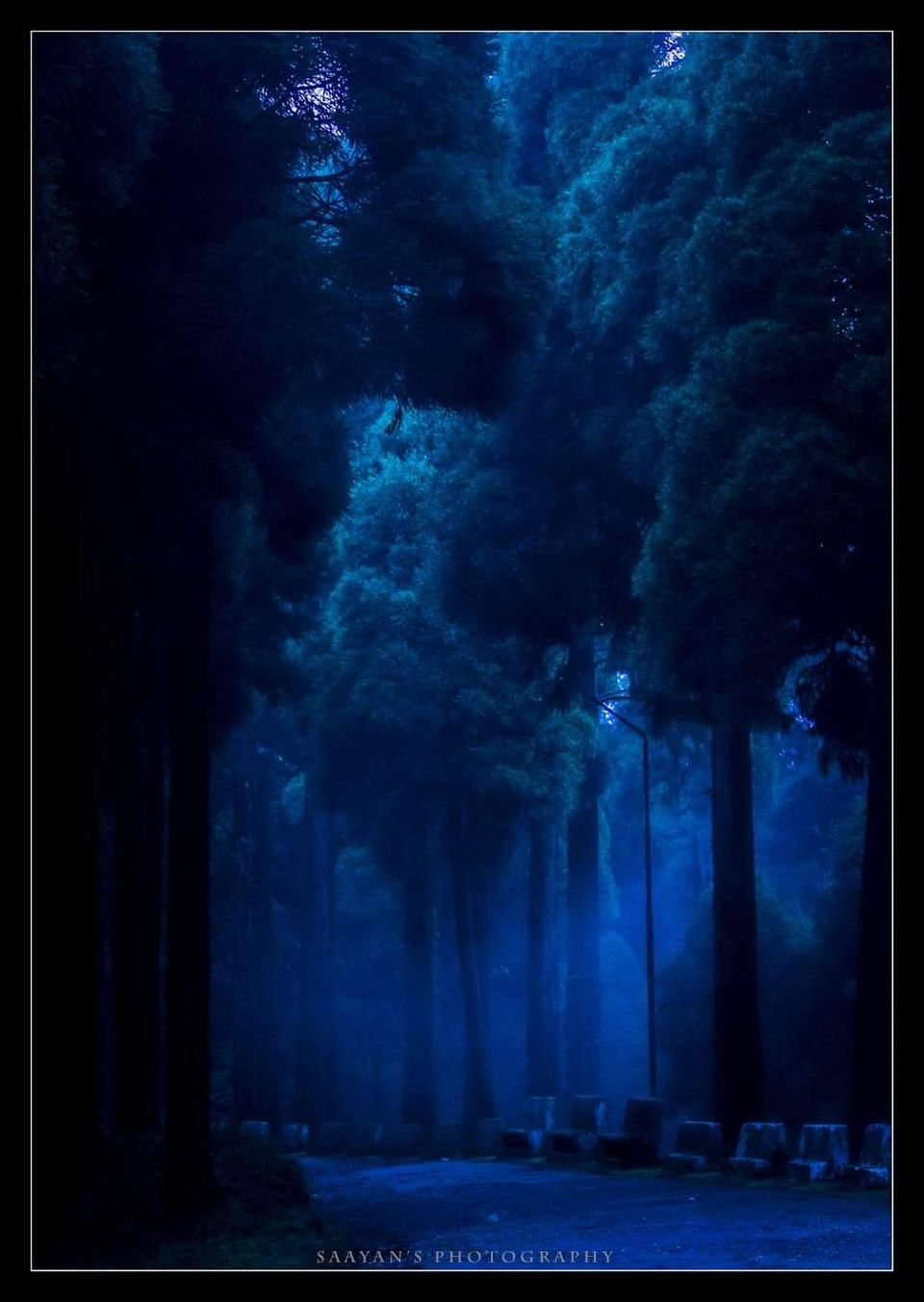 Photo of Kolakham Diaries #offbeatgetaway by Joydeep Bhattacharyya