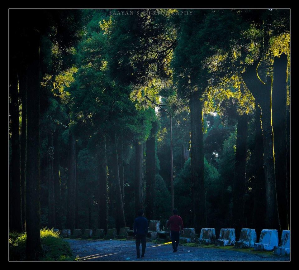 Photo of Kolakham Diaries #offbeatgetaway by Joydeep Bhattacharyya