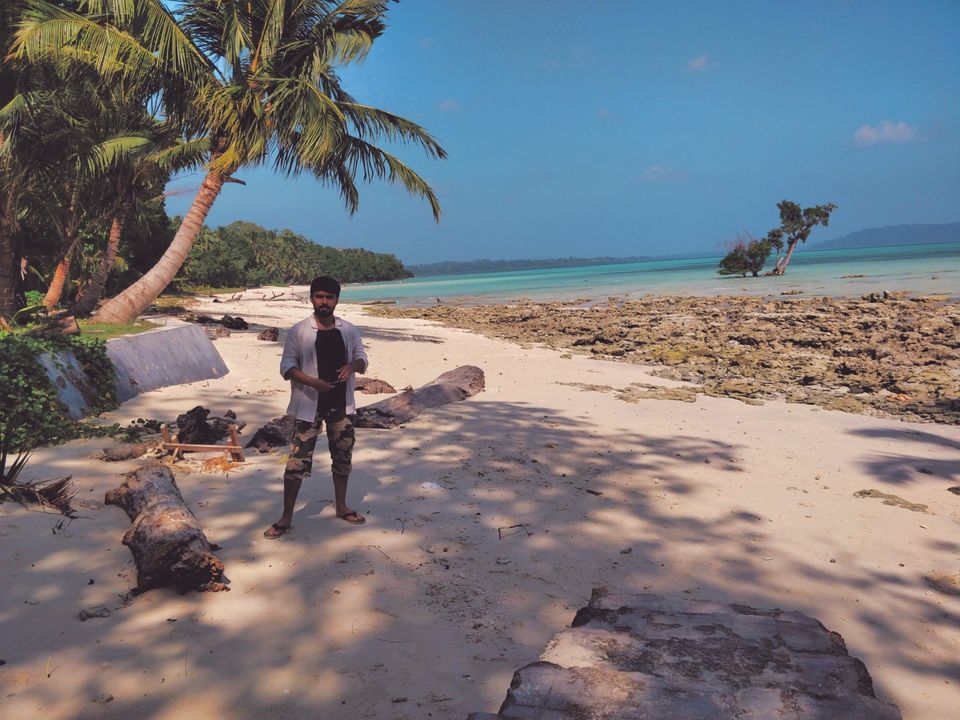 Photo of Dolphin Resort, Andaman Tourism, Havelock Island, Andaman and Nicobar Islands, India by Amritangshu mukherjee
