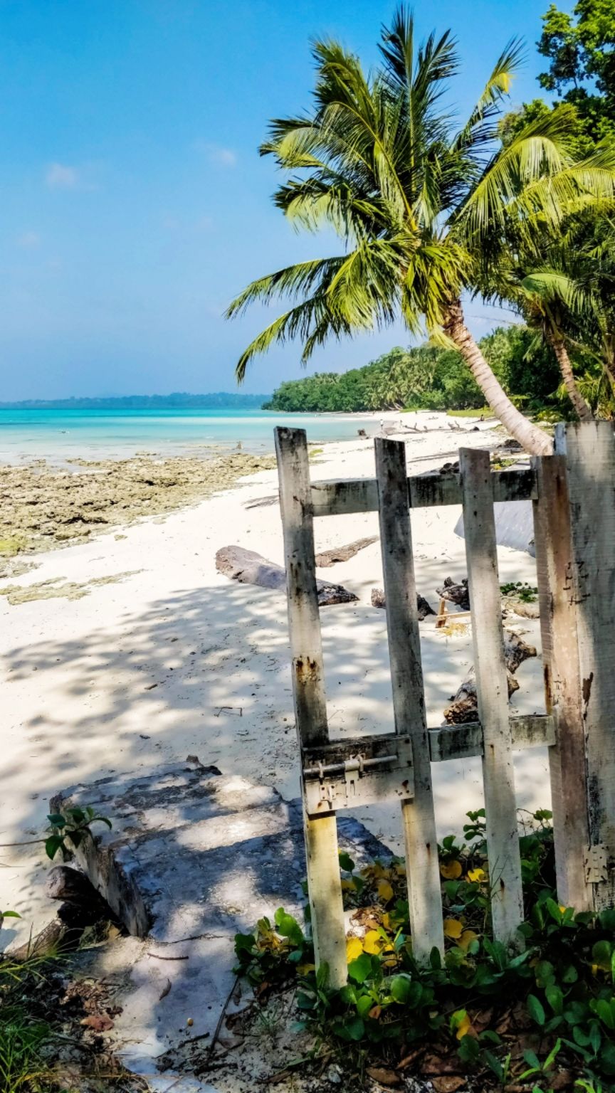 Photo of Dolphin Resort, Andaman Tourism, Havelock Island, Andaman and Nicobar Islands, India by Amritangshu mukherjee