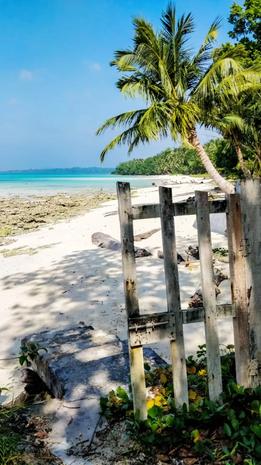 Photo of Dolphin Resort, Andaman Tourism, Havelock Island, Andaman and Nicobar Islands, India by Amritangshu mukherjee