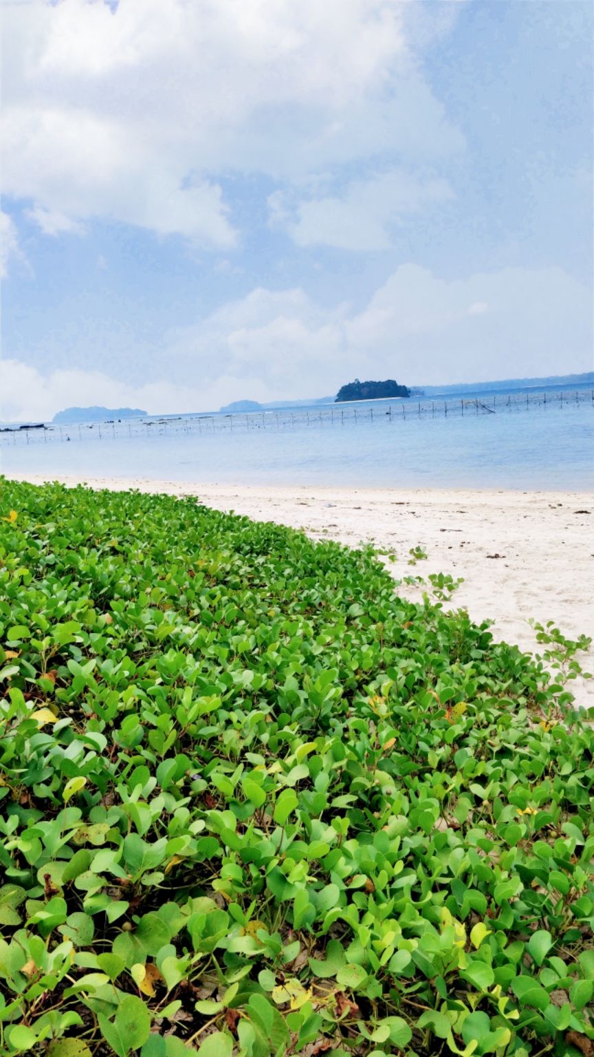 Photo of Radhanagar Beach, Andaman and Nicobar Islands by Amritangshu mukherjee
