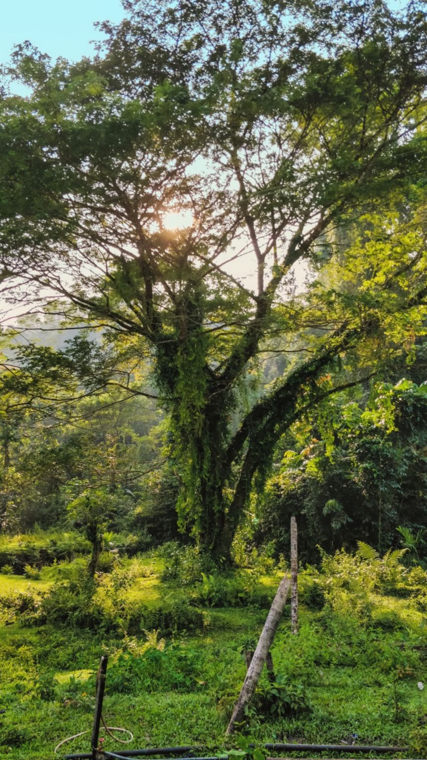 Photo of Diglipur, Andaman and Nicobar Islands, India by Amritangshu mukherjee