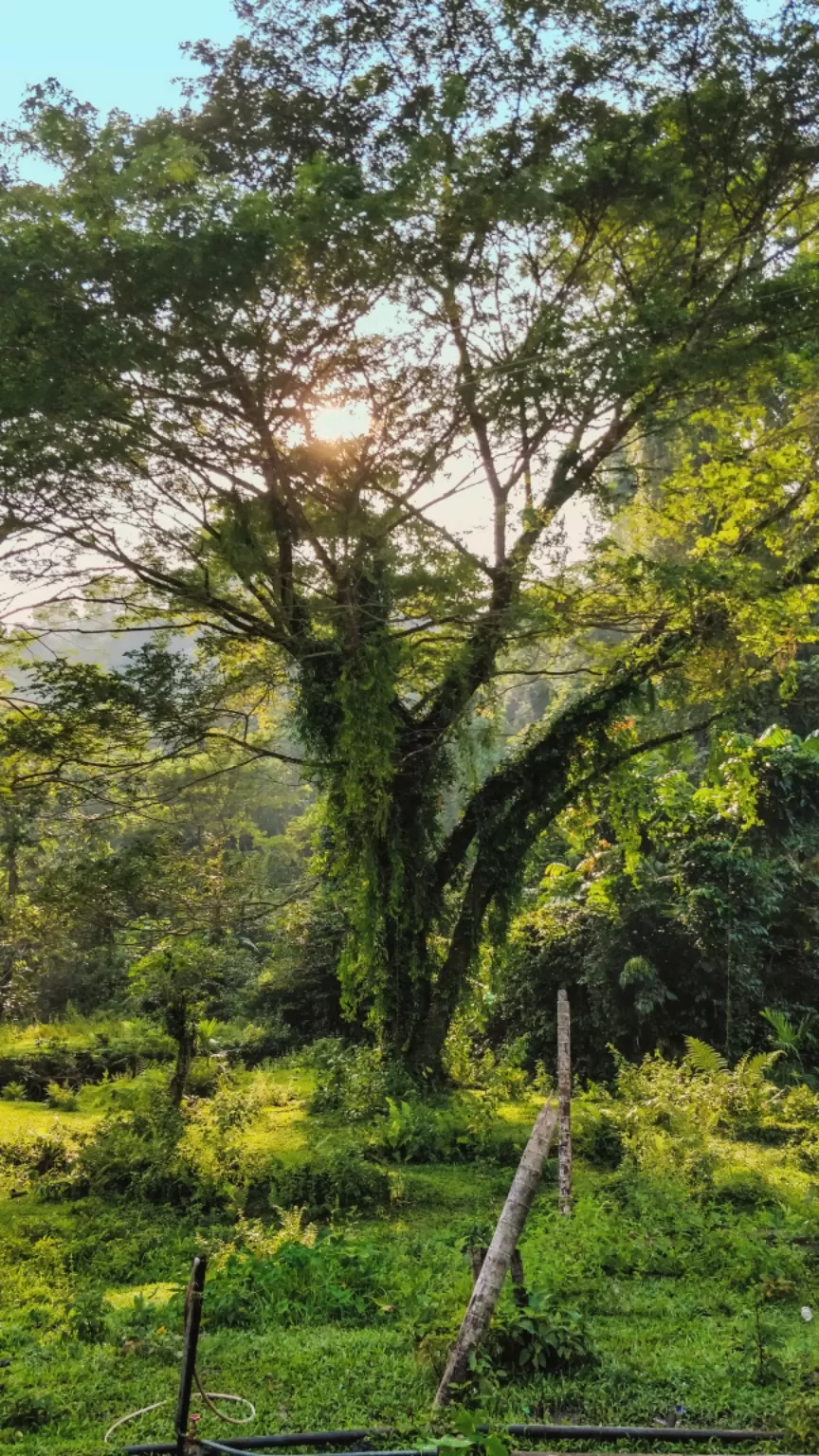 Photo of Diglipur, Andaman and Nicobar Islands, India by Amritangshu mukherjee