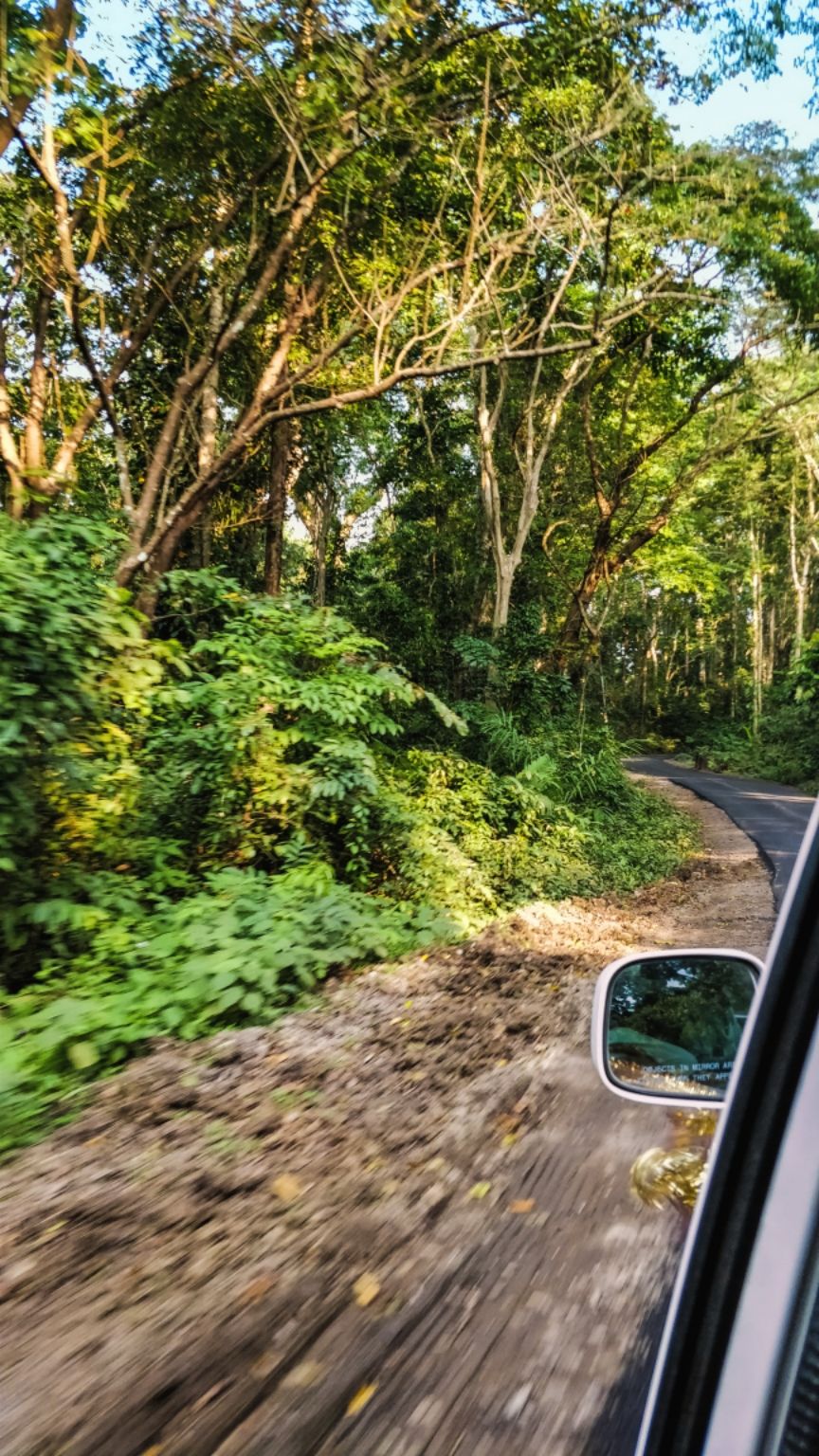 Photo of Diglipur, Andaman and Nicobar Islands, India by Amritangshu mukherjee