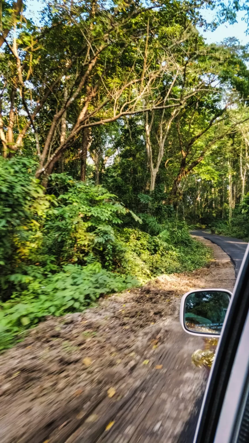 Photo of Diglipur, Andaman and Nicobar Islands, India by Amritangshu mukherjee
