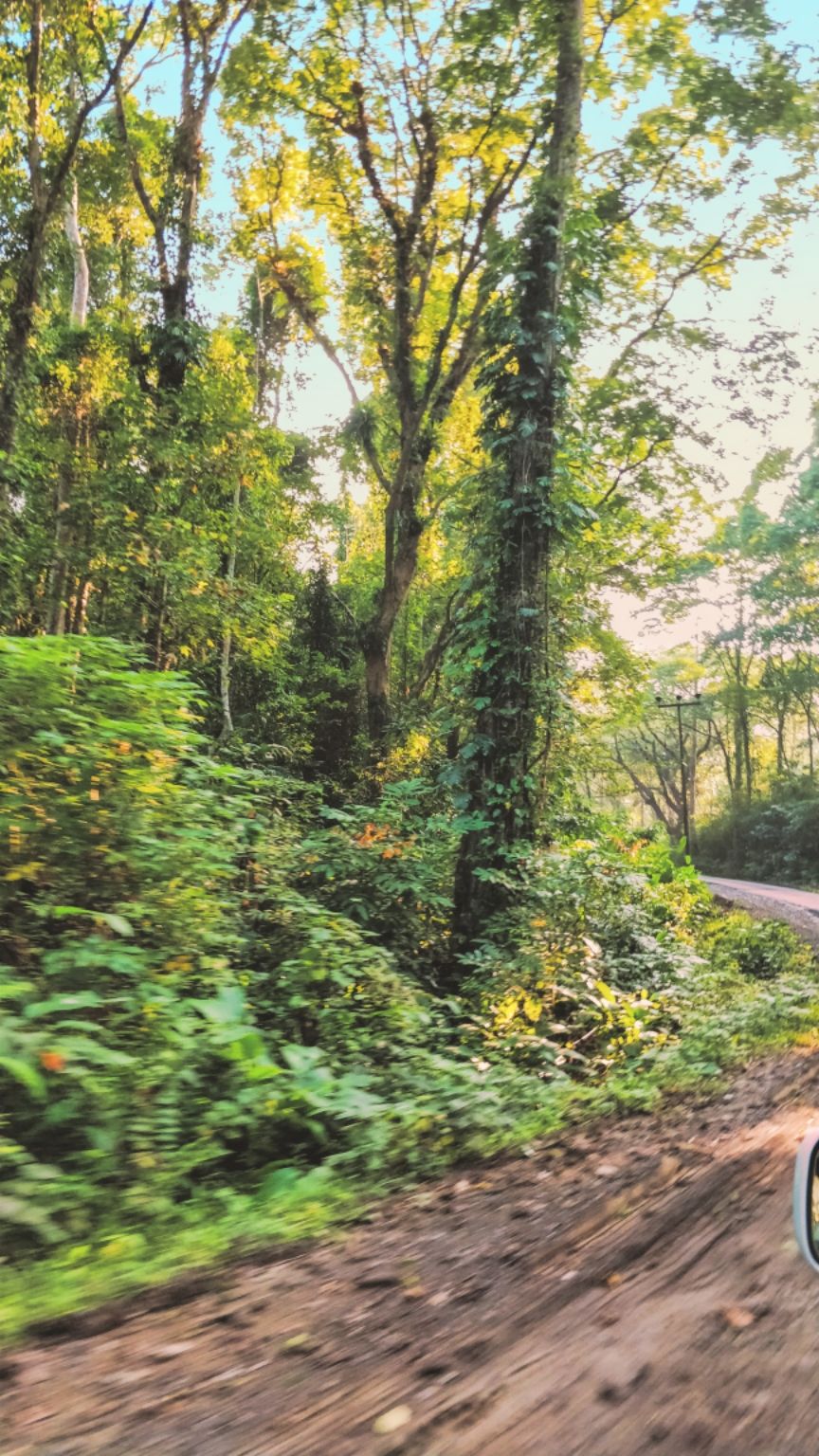 Photo of Diglipur, Andaman and Nicobar Islands, India by Amritangshu mukherjee