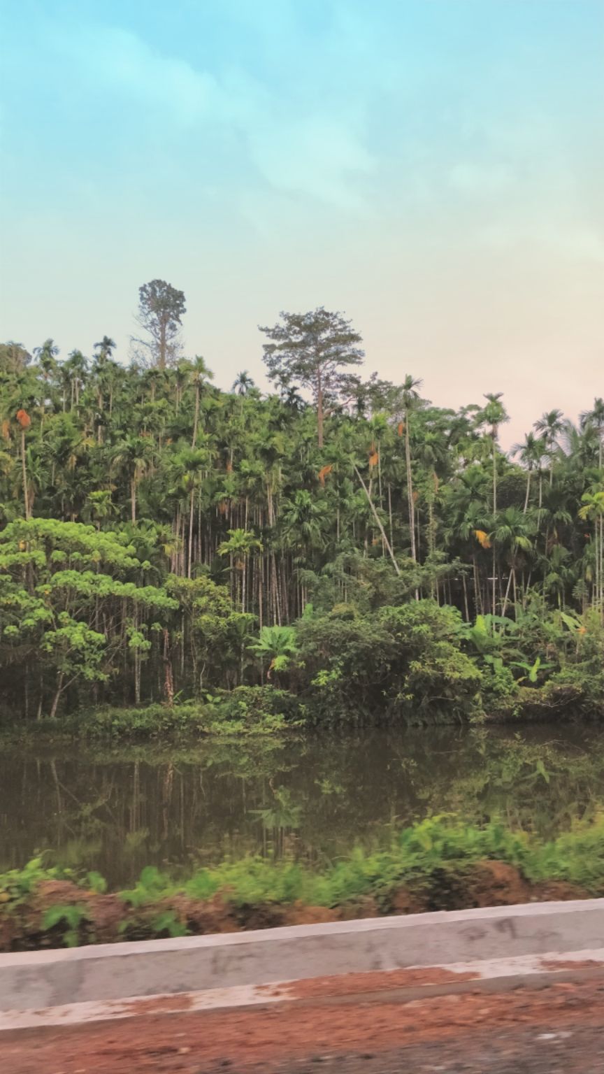 Photo of Diglipur, Andaman and Nicobar Islands, India by Amritangshu mukherjee