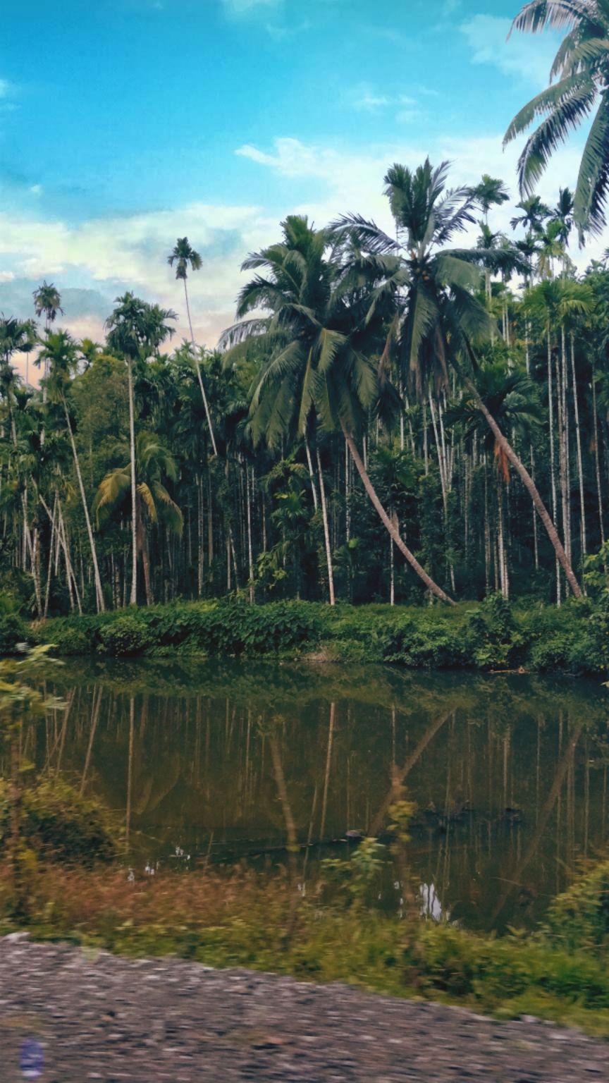Photo of Diglipur, Andaman and Nicobar Islands, India by Amritangshu mukherjee