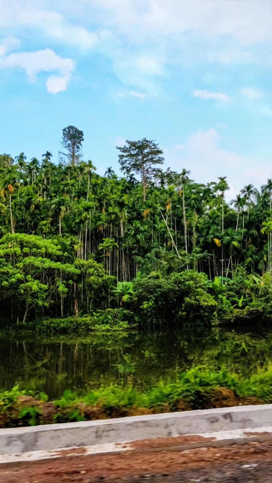 Photo of Diglipur, Andaman and Nicobar Islands, India by Amritangshu mukherjee