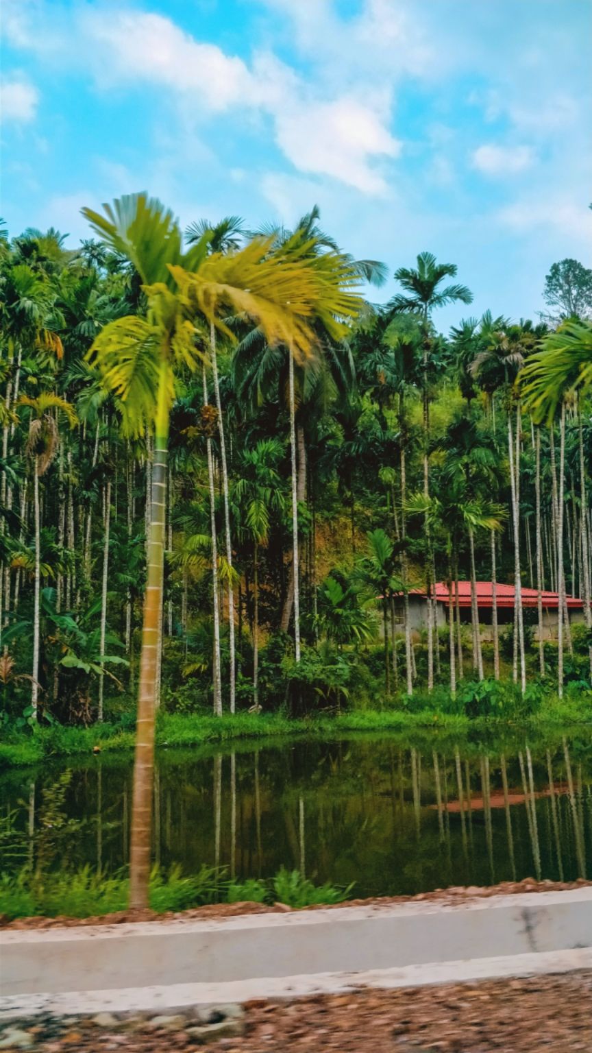 Photo of Diglipur, Andaman and Nicobar Islands, India by Amritangshu mukherjee