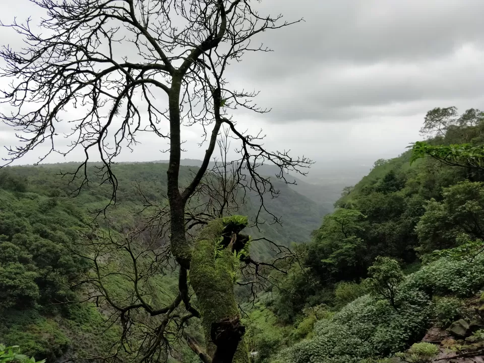Photo of Andharban Trek, Pimpri, Maharashtra, India by Amritangshu mukherjee