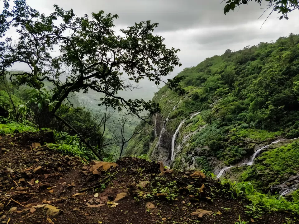 Photo of Andharban Trek, Pimpri, Maharashtra, India by Amritangshu mukherjee
