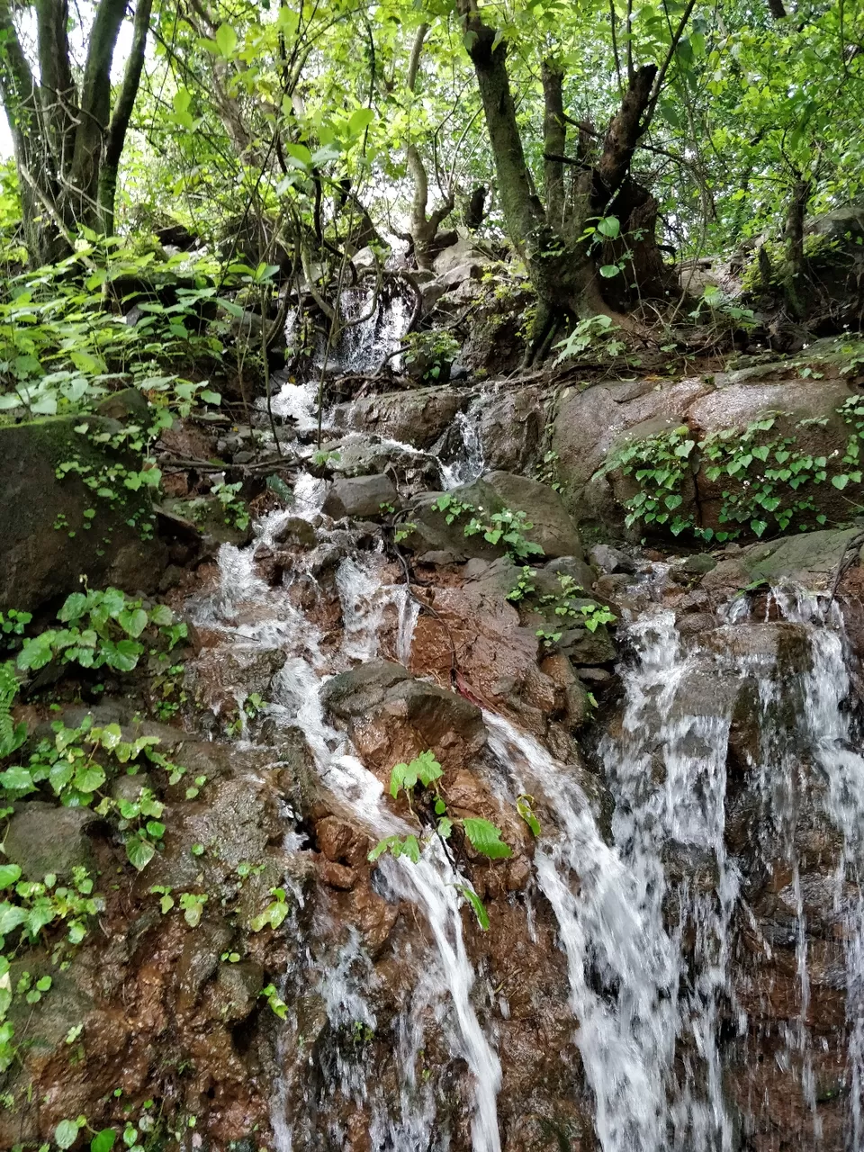 Photo of Andharban Trek, Pimpri, Maharashtra, India by Amritangshu mukherjee