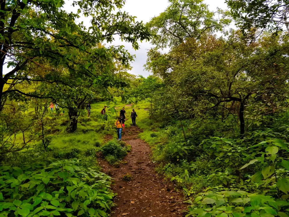Photo of Andharban Trek, Pimpri, Maharashtra, India by Amritangshu mukherjee
