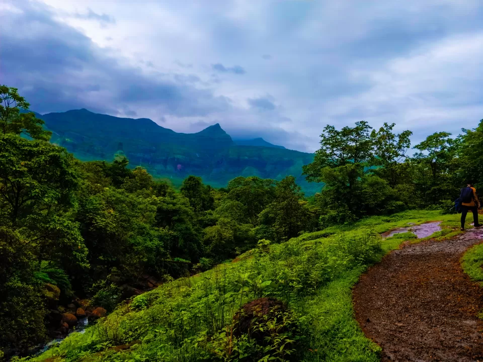 Photo of Andharban Trek, Pimpri, Maharashtra, India by Amritangshu mukherjee