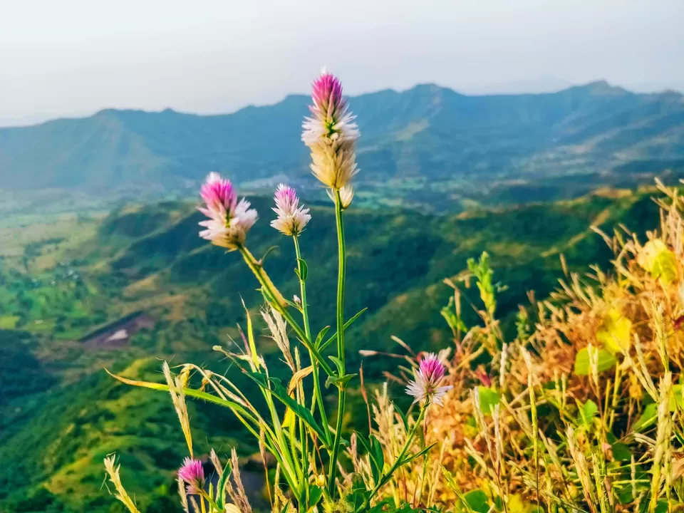 Photo of Lonavala is #notinnorth by Amritangshu mukherjee
