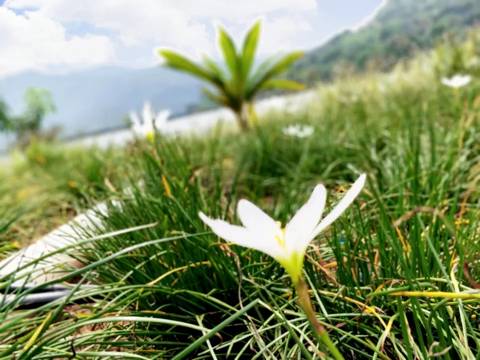 Photo of Lonavala is #notinnorth by Amritangshu mukherjee