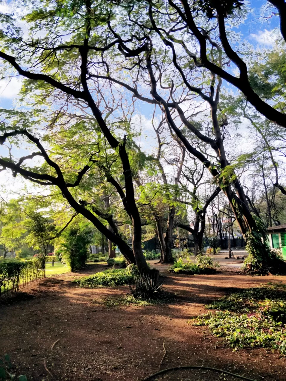 Photo of Tamini Ghat Water Fall, Tamhini Ghat Road, Sanaswadi, Maharashtra, India by Amritangshu mukherjee