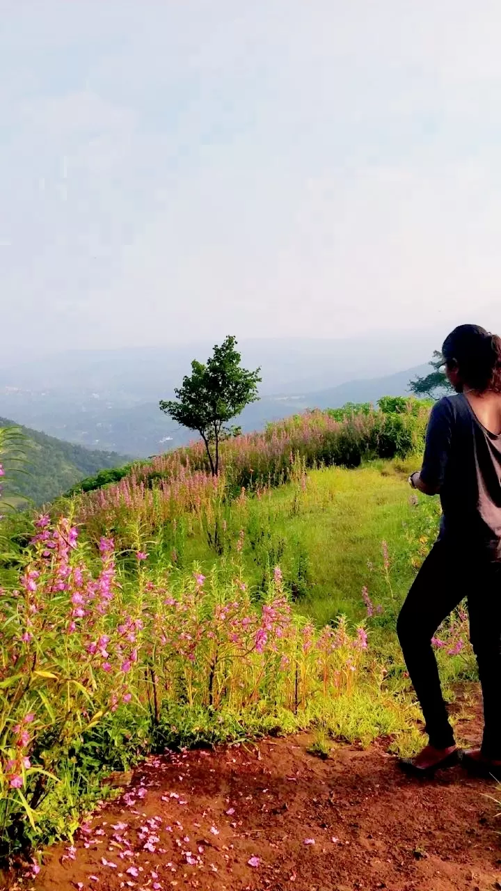 Photo of Tamini Ghat Water Fall, Tamhini Ghat Road, Sanaswadi, Maharashtra, India by Amritangshu mukherjee